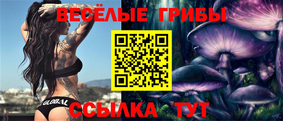 Галлюциногенные грибы Psilocybine cubensis  Вход с VPN  Тула  Галлюциногенные грибы прущие грибы 