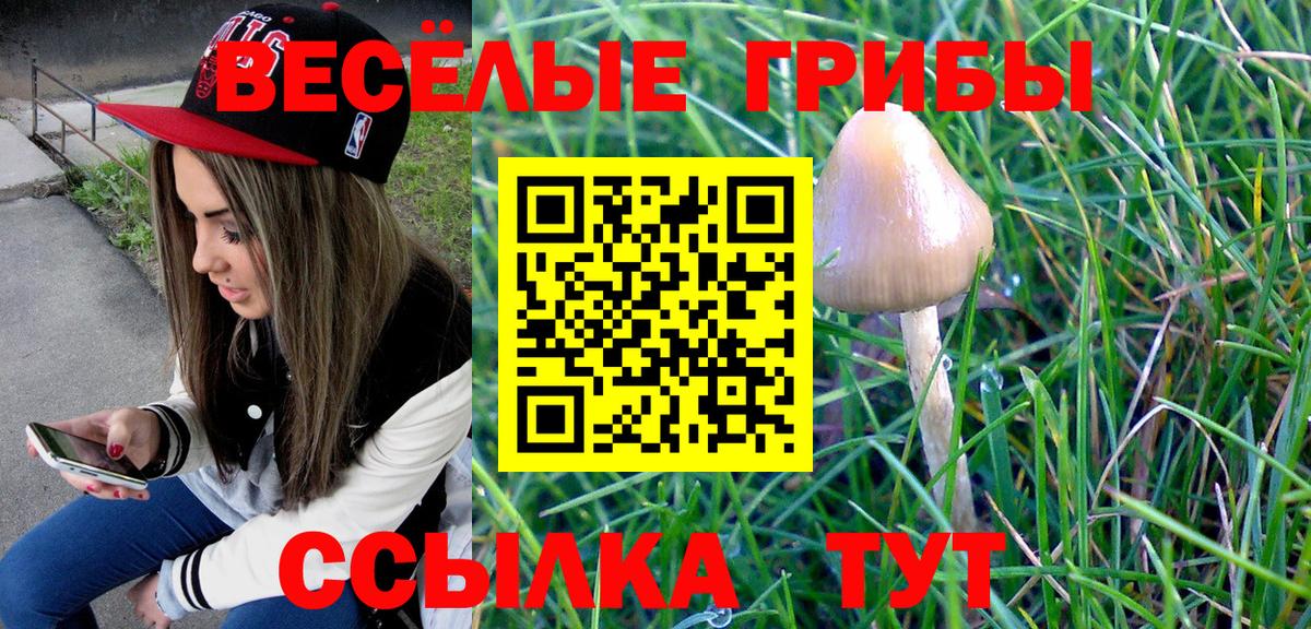 Псилоцибиновые грибы прущие грибы Тула